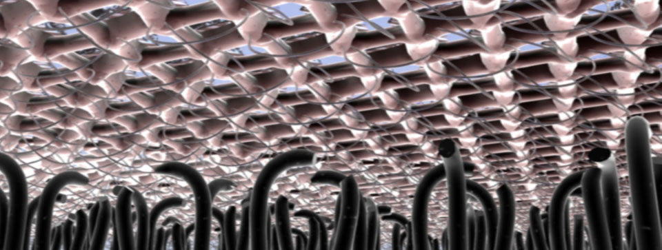 Flexpad Block Sanding Screen